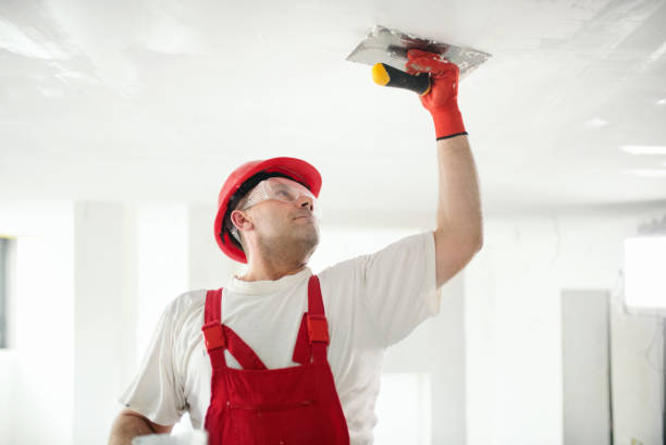 Best Touch-Up Painting  in Bay City, MI